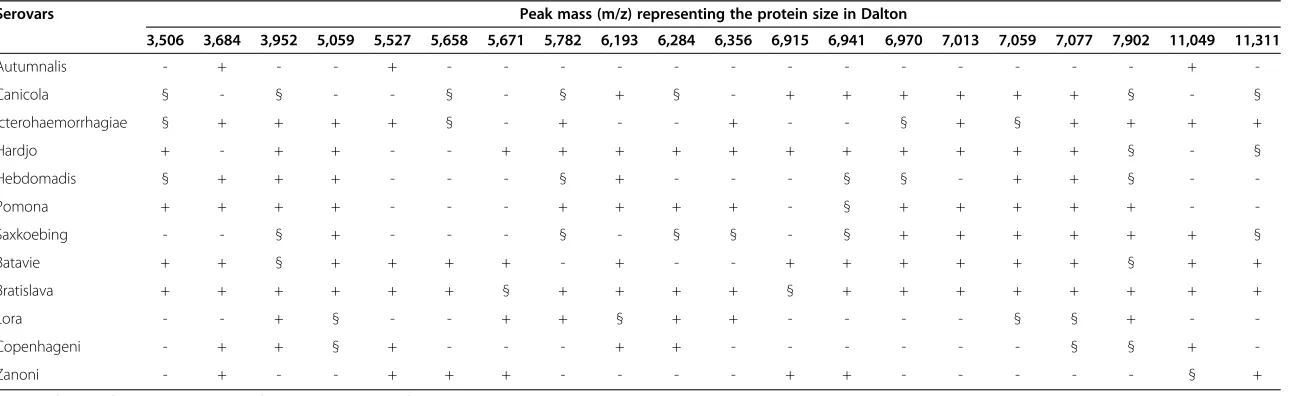 Table 2 Differentiating peaks obtained by statistical analysis of 12 serovars belonging to the species L