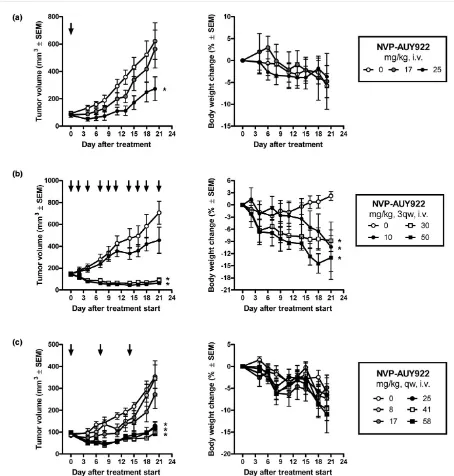 Figure 4Antitumor effect and tolerability of NVP-AUY922 in a BT-474 human breast cancer xenograft modelAntitumor effect and tolerability of NVP-AUY922 in a BT-474 human breast cancer xenograft model