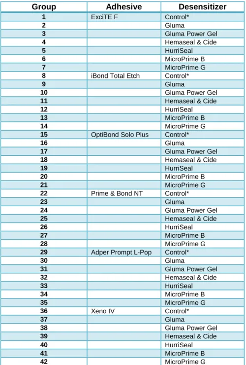 TABLE 1. Experimental groups 