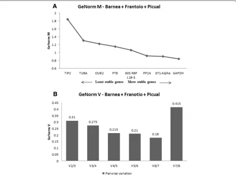 Figure 2 Validation of candidate reference genes in Barnea, Frantoio and Picual as a whole using GeNorm algorithm in qBase Plus.(A) Average expression stability values (M) of the eight reference genes plotted from least stable (left) to most stable (right)
