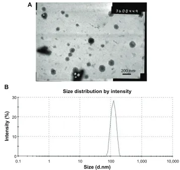 Figure 1 Transmission electron microscopic image (A) and size distribution (B) of coumarin-6-loaded Plga NPs.Note: scale bars represent 200 nm.Abbreviation: Plga NPs, poly(d,l-lactide-co-glycolide acid) nanoparticles.