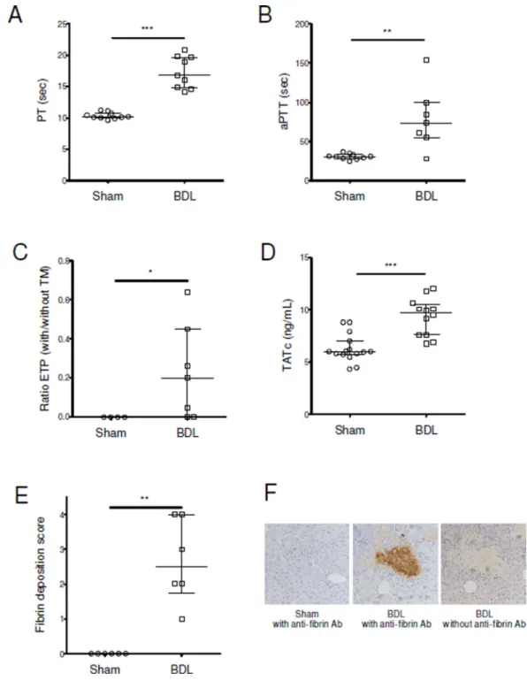 Figure 1. Activation of coagulation in mice with chronic liver injury