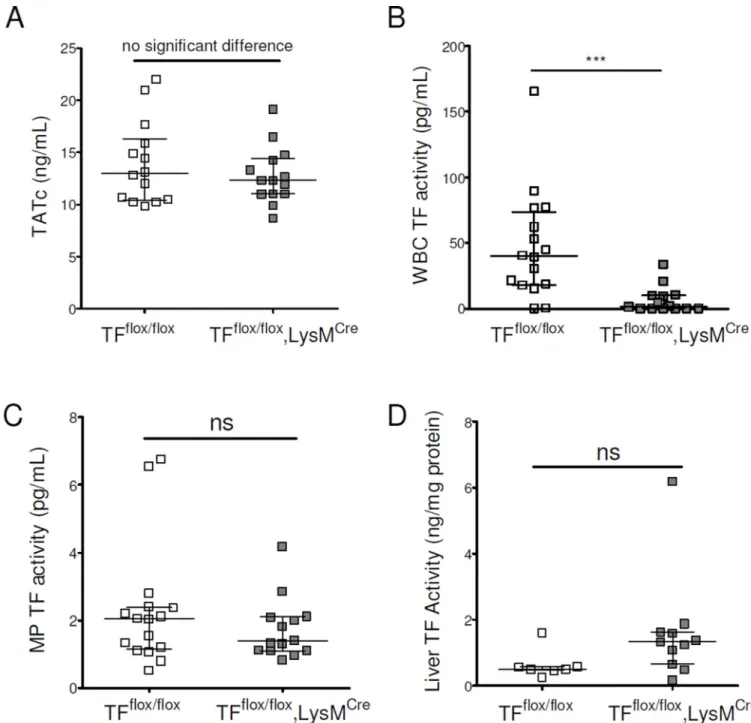Figure 4. Myeloid tissue factor does not contribute to activation of coagulation in mice with  chronic liver injury