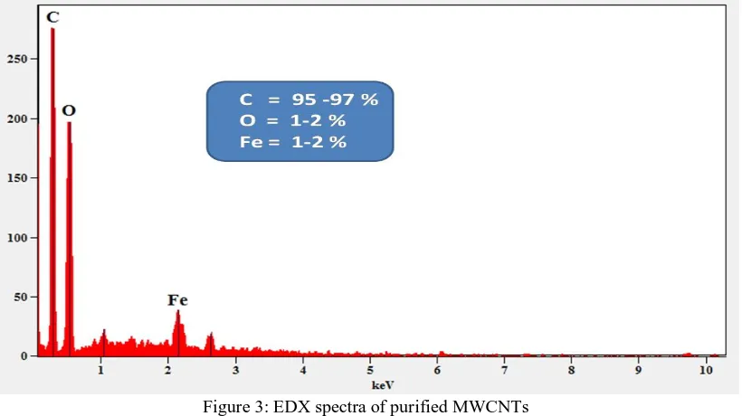 Figure 2.FESEM images of (a) purified and (b) as synthesized MWCNTs 