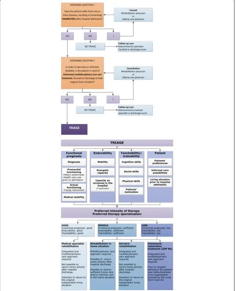 Fig. 2 Screening questions and triage instrument