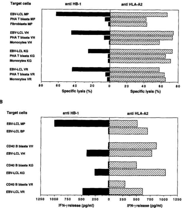 FIGURE  3.  Tissue-specific  expression  of  HB-1.  A,  Cytotoxicity  against  EBV-LCL,  PHA-stimulated T cell blasts,  monocytes,  and  fibroblasts  of  HLA-B44,  HB-1-positive individuals
