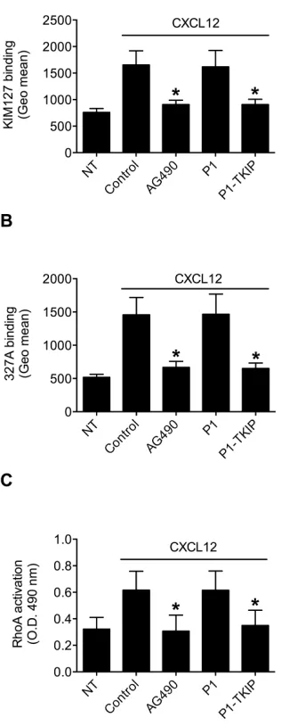 Figure 3: JAK2 mediates LFA-1 affinity triggering and RhoA activation by CXCL12 in B-lymphocytes
