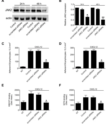 Figure 4: JAK2 down-modulation by siRNAs prevents chemokine-induced adhesion and LFA-1 affinity triggering