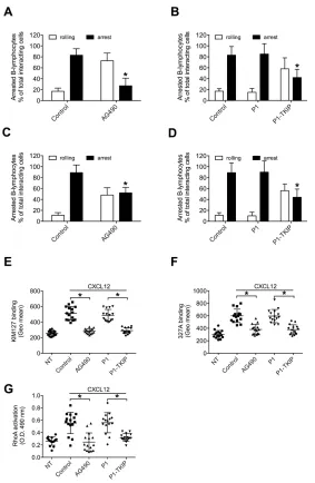 Figure 6: JAK2 mediates underflow adhesion, LFA-1 affinity triggering and RhoA activation by CXCL12 in CLL B-lymphocytes
