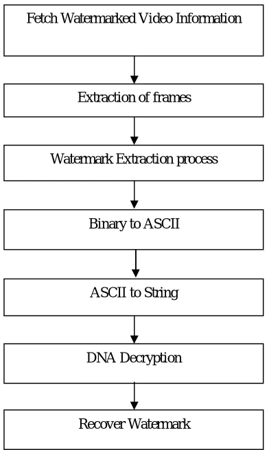 Figure 2 Framework of Extraction  