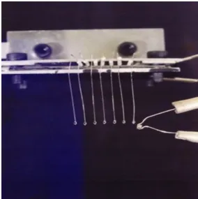 Fig 3. Example of a one-dimensional droplet array mounted on a jig 