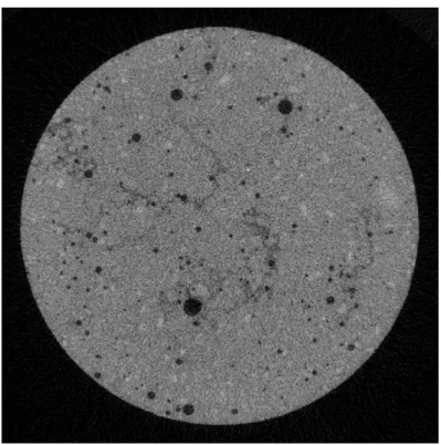 Figure 4.4. An example MicroCT image slice of a 7 mm cylindrical stone in which cracks are visible.