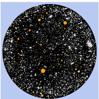 Figure 4.5. An example MicroCT image showing the four regions that the image is divided into for the crack enhancing procedure
