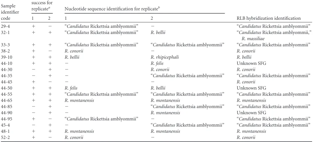 TABLE 2 PCR ampliﬁcation success of Rickettsia 23S-5S IGS fragments from 18 D. variabilis adult ticks and comparison of the identiﬁcation ofRickettsia spp