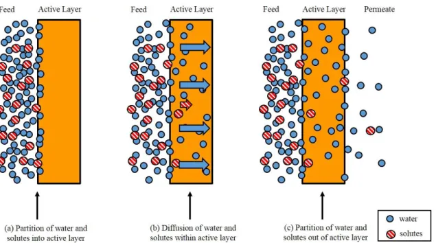 Figure 1.1. Permeation of water and solutes through membrane active layers as described by the  solution-diffusion model