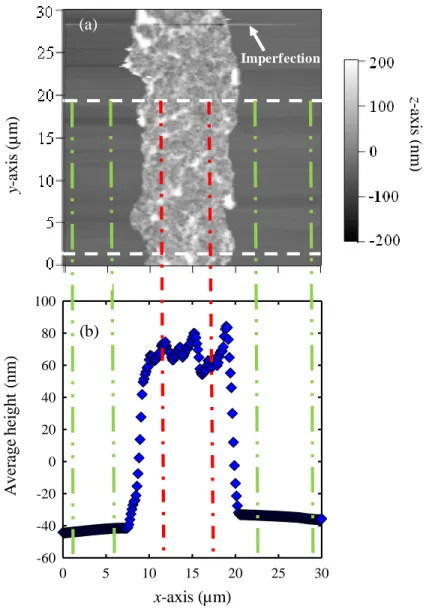 Figure 2.2.  (a) An AFM image and (b) the corresponding average height profile of an NF90  membrane
