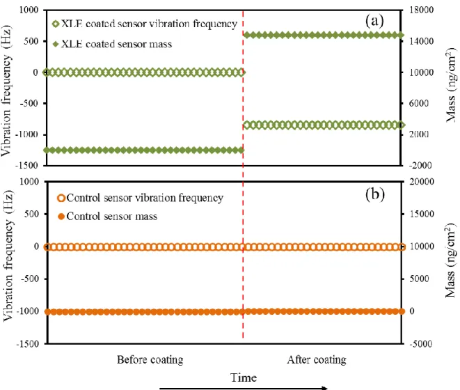 Figure 2.5.  Representative vibration frequency and calculated areal mass change of (a) a QCM  test sensor before and after coating with the active layer of a XLE membrane sample, and (a) a  QCM control sensor