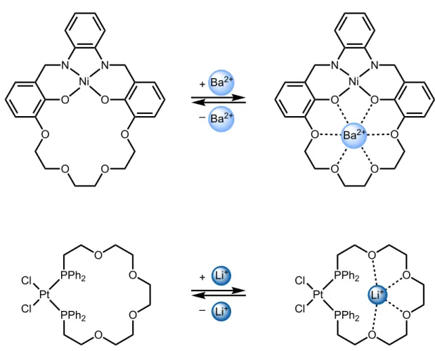 Figure 1.5 Metallomacrocycles capable of complexing an additional cation in the secondary  coordination sphere of the complex