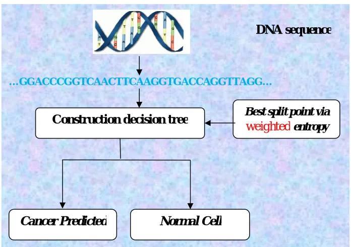 Figure 5: Flow diagram of decision tree based prediction 