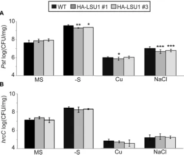 Fig. 7.  Ectopic expression of LSU1 results in a moderate resistance to  P. syringae during abiotic stress