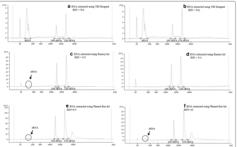 Fig. 1 Electropherogram of RNA elutes obtained using three different RNA extraction methods