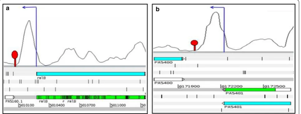 Fig. 2 Overall sequencing coverage of P. aeruginosa AIMST H2 transcriptome with reference to P