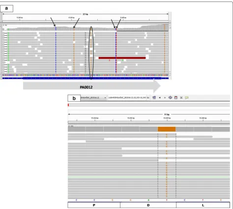 Fig. 5 SNPs observed in gene PA0012. a All four black arrows point to synonymous base substitutions, while the circle points to an observed non-synonymous substitution; b zoomed in view of the non-synonymous substitution in the last base of the codon