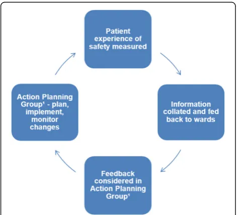 Fig. 1 The PRASE Intervention cycle. The Action Planning Groupcomprised staff from the ward/unit from a range of professionalbackgrounds