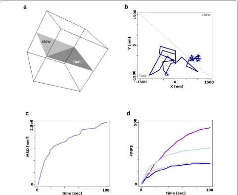 Fig. 1 Molecular random walks with surface dependent diffusion. a) Geometry of the testing environment