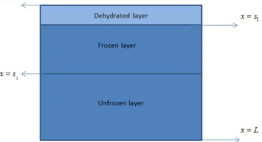 Fig 1: Schematic representation of the model with two moving fronts. 