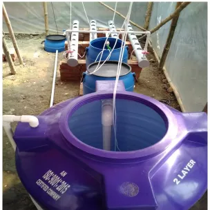 Fig. 3 is the primary model of floating raft aquaponics system 
