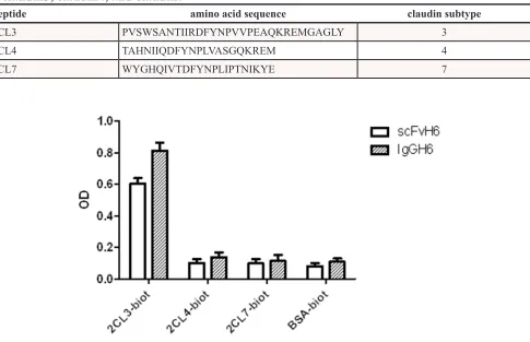 Table 1: Amino acid sequences of the peptides corresponding to the minor extracellular domains of claudin3, claudin4, and claudin7