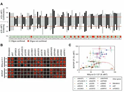 Figure 2: Confirmation of differentially active hits. A. Comparison between d values obtained from the screening (bottom) and from confirmation experiments (top) performed with 84 siRNA oligos targeting 28 genes selected among the top ranked hits (A, B and