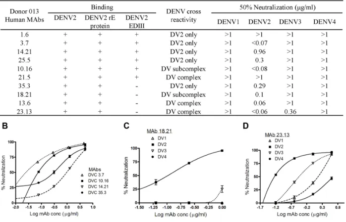 Figure  2.3    Binding  and  neutralization  properties  of  donor  013  hMAbs.  Ten  hMAbs  from  donor  013  were  tested  for  binding  dengue  virus,  recombinant  E  (rE)  and  EDIII  from  DENV2