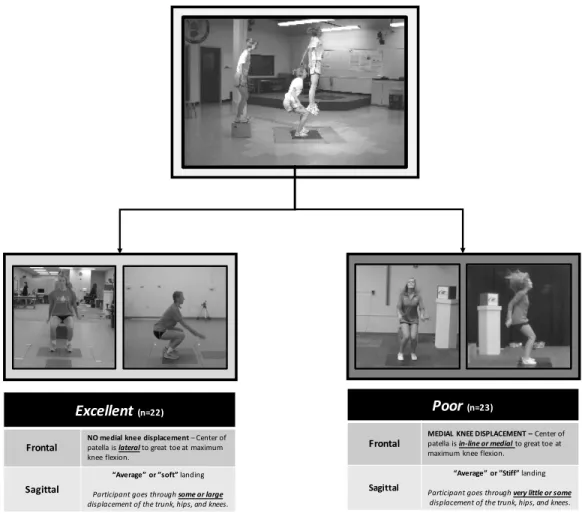 Figure 3.1 – Movement Profile LESS Inclusion Criteria. 
