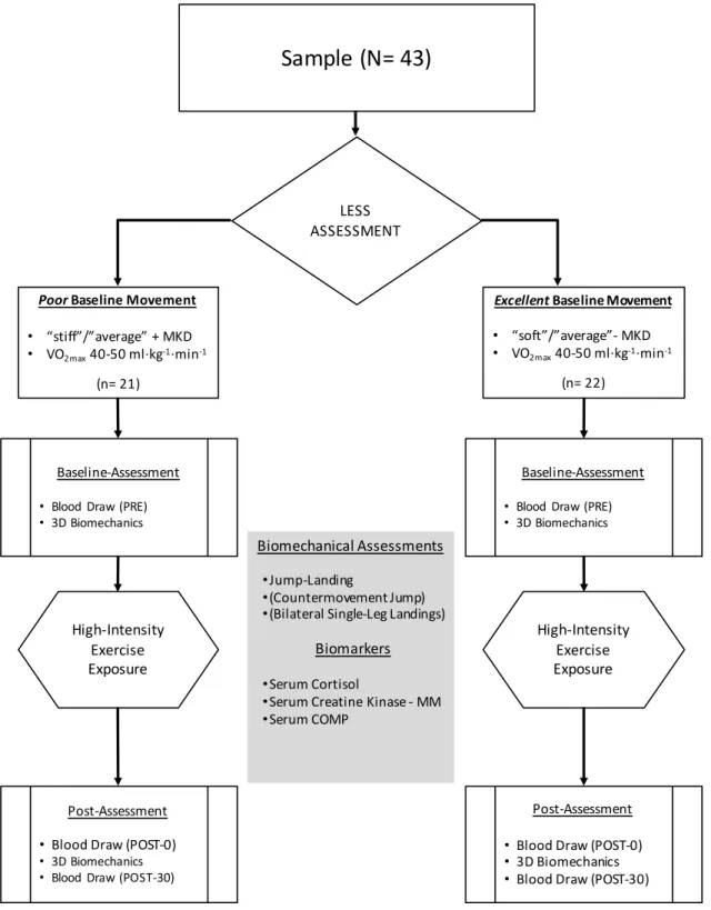 Figure 1.2 – Overview of the P study methodology to evaluate the effects of an individual’s  baseline movement profile on their musculoskeletal tissue damage and systemic stress response  to high-intensity exercise exposure