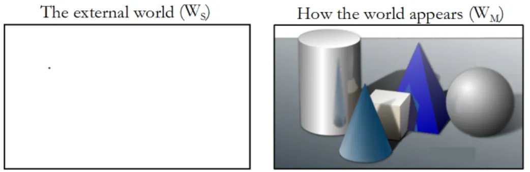 Figure 6.3: The single particle world (W S )
