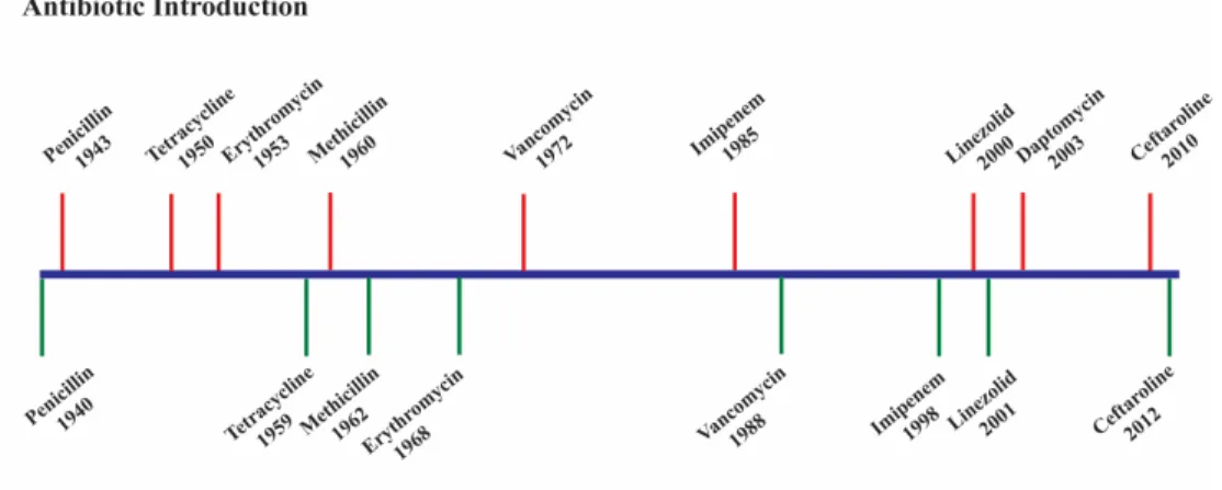 Figure 1.1. Timeline depicting bacterial resistance. 