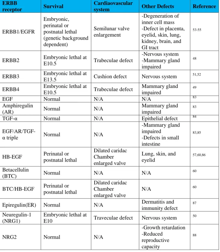 Table 1.2:  Phenotype summary from genetic ablation of ERBB receptors, ERBB ligands.  