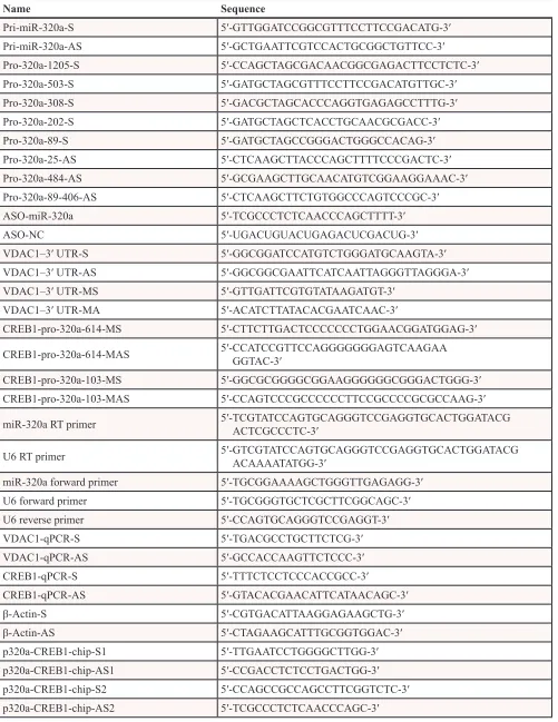 Table 1: The primers and oligonucleotides used in this work