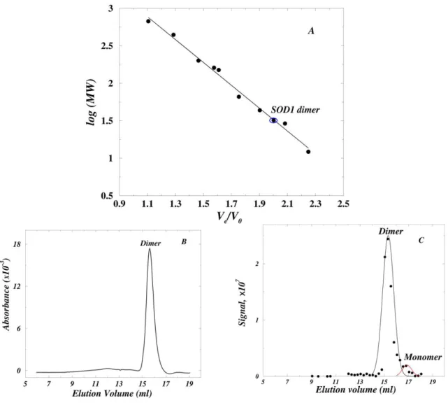 Figure 2.1: Size exclusion profiles of SOD1 at pH 7.8. A: The Calibration curve for the  column obtained by using with globular protein standards at pH 7.8 was: log (M w /1000) =  4.56-1.526·(V e /V 0 ), where M w  is the molecular weight, V e  is the elut