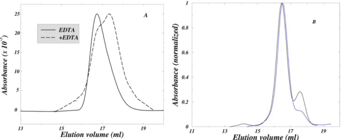Figure S2: A. Column calibration at pH 3.5. 30μM SOD1 at pH 3.5 eluted at 16.5 ml and  17.3 ml, before and after incubation with 10mM EDTA