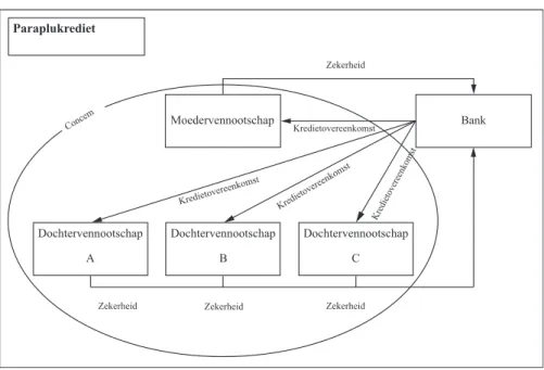 Figuur 3.1 Schematische weergave van het paraplukrediet