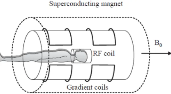 Figure 2.2: Three major parts of the MRI system. Superconducting magnet, RF transmitter and receiver, and, for simplicity, only one gradient coil.