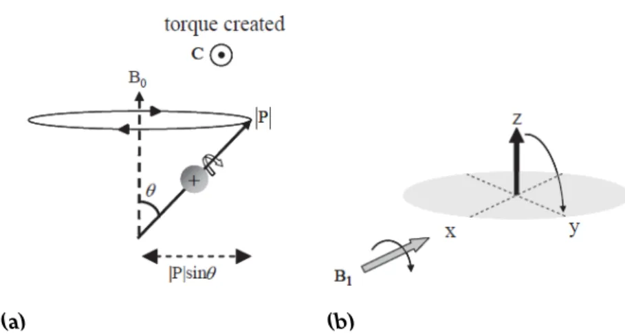 Figure 2.3: (a) Precessing movement of the spins around the B 0 field at an angle θ. (b) The flip of the spin direction to the xy-plane as RF pulse is applied to the system along x-axis.
