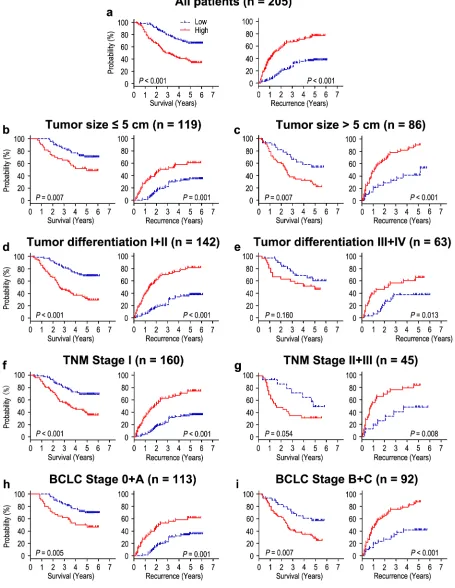 Figure 2: Overall survival and time to recurrence are shown for patients with HCC. All patients were stratified according to tumor size, tumor differentiation, TNM classification and BCLC stage