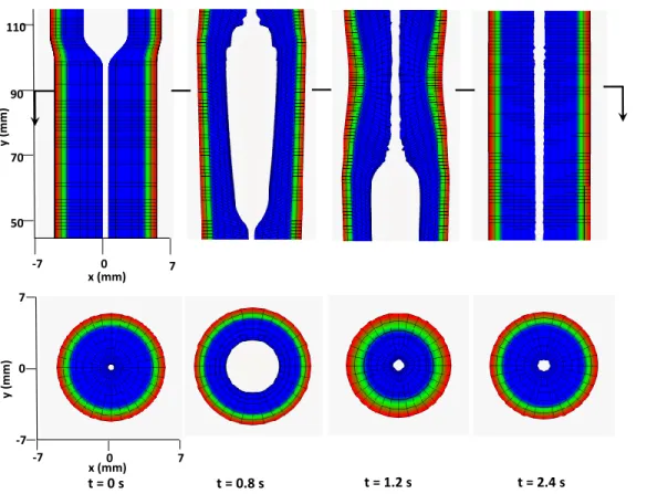Fig. 7. Kinematics of the esophageal layers at four different stages: at rest (t = 0 s);