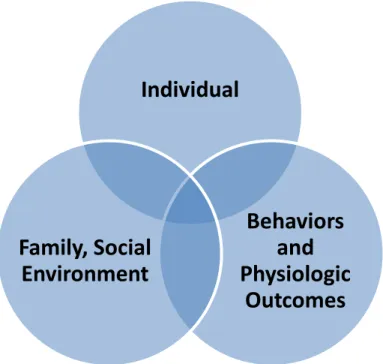 Figure 1.2. Model of the examined constructs. Individual includes personal attributes of  knowledge and efficacy