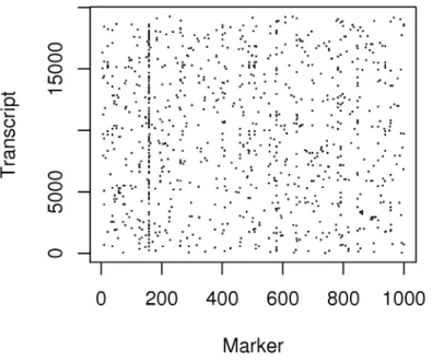 Figure 3.2: Randomly permuted marker data mapped analyzed with the true expression data showing random trans bands