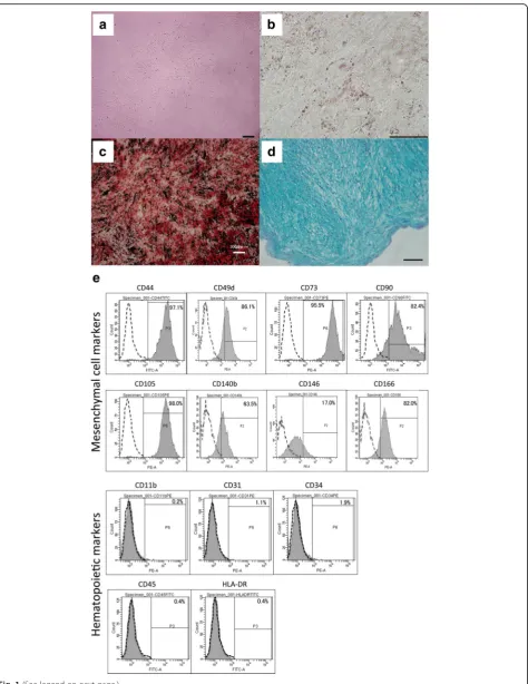 Fig. 1 (See legend on next page.)